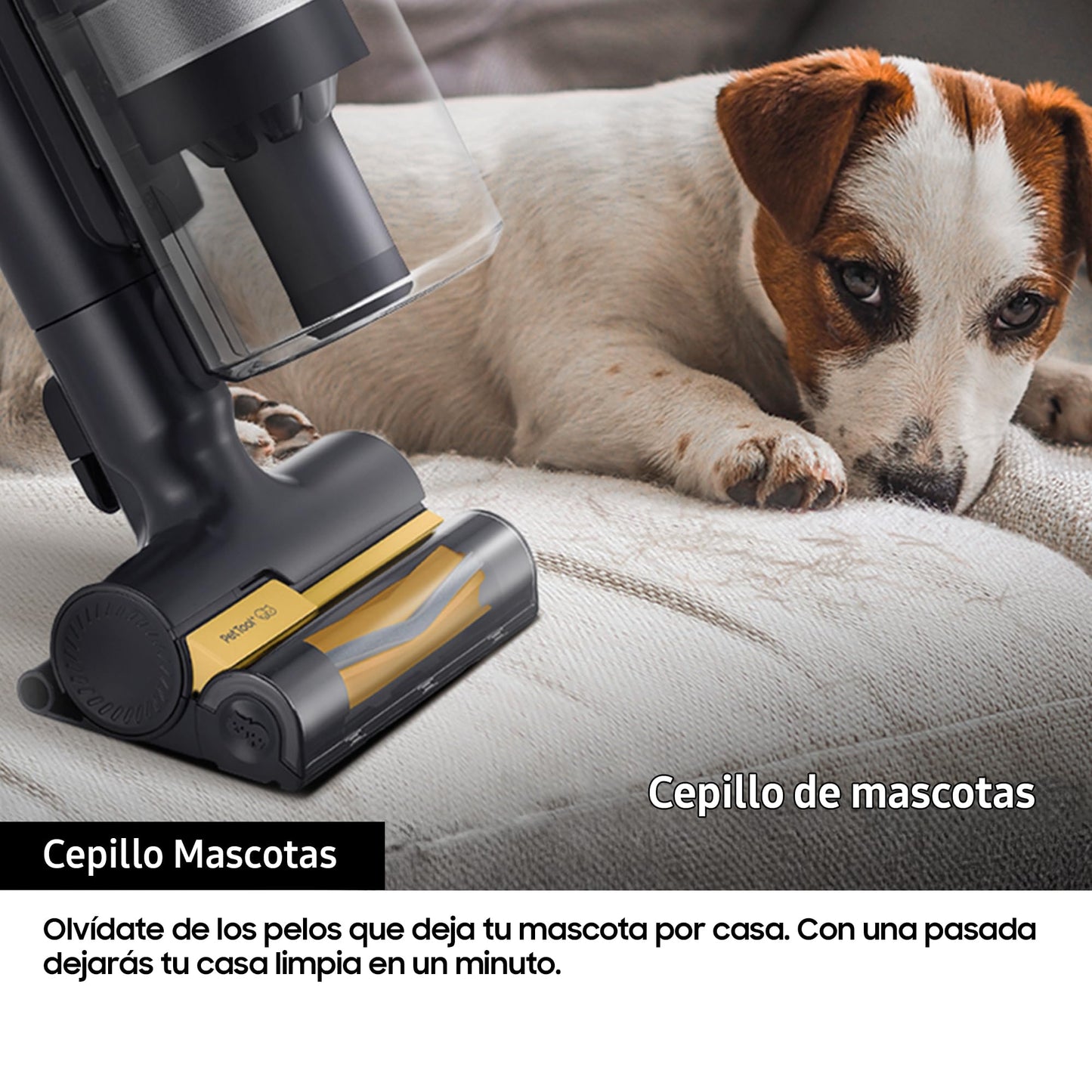 Samsung Aspiradora Cable Jet 75E Pet 200W, con Cepillo para Mascotas VS20B75AGR5/WA